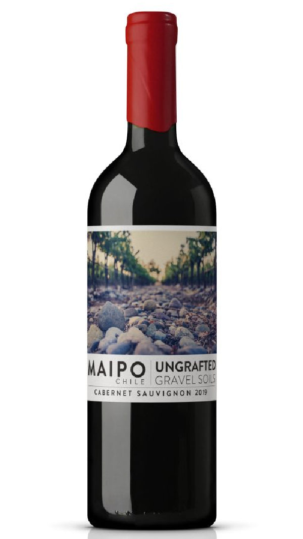 De Martino - "Ungrafted" Carmenere Maipo Valley 2021 (750ml)