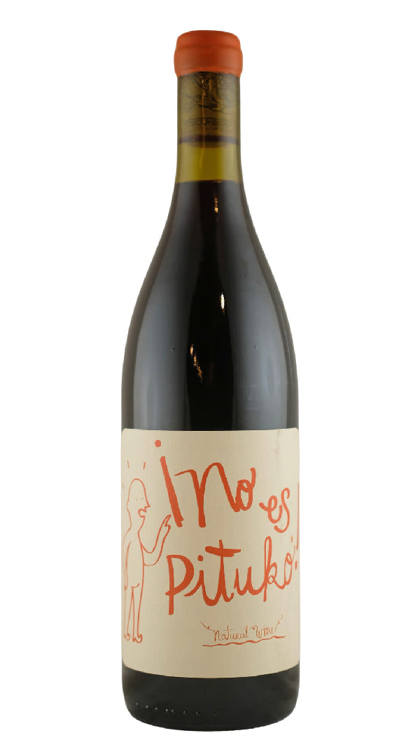 Echeverria - "No Es Pituko” Cabernet Franc 2022 (750ml)